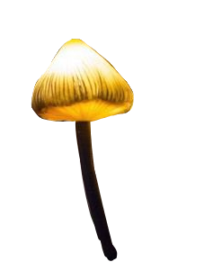 A Yellow glowing mushroom
